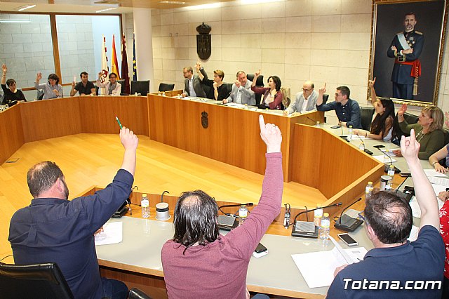 Pleno extraordinario AVE (11/05/2018) - 21