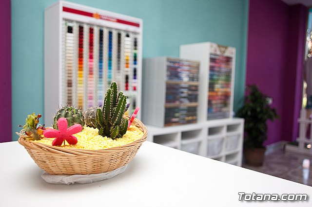 Inauguracin Mercera La Seda - 15