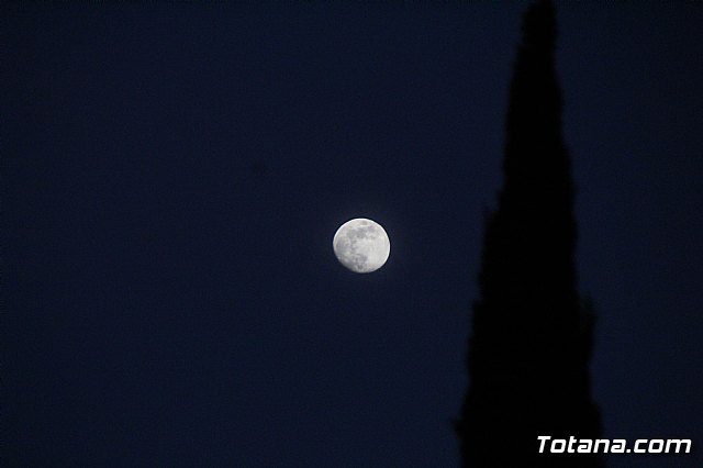 Presentacin candidatura PP Totana  - Elecciones 26M 2019 - 83