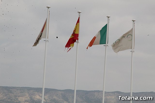 Planta solar de Totana - 8