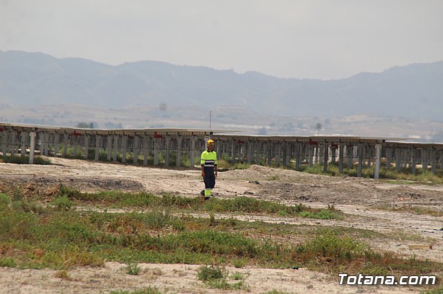 Planta solar de Totana - 32