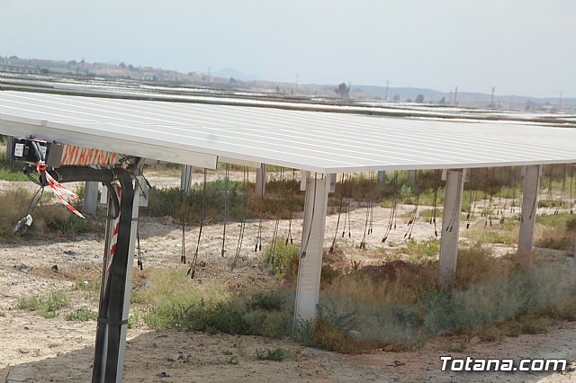 Planta solar de Totana - 63