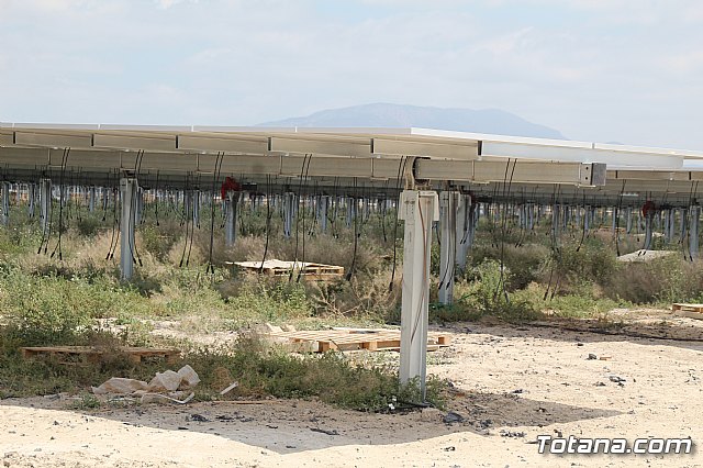 Planta solar de Totana - 128