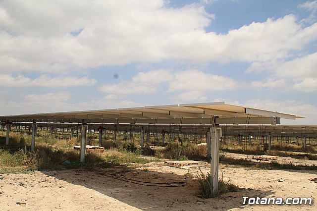 Planta solar de Totana - 139
