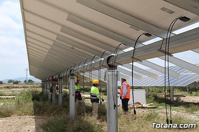 Planta solar de Totana - 142