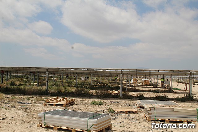 Planta solar de Totana - 149