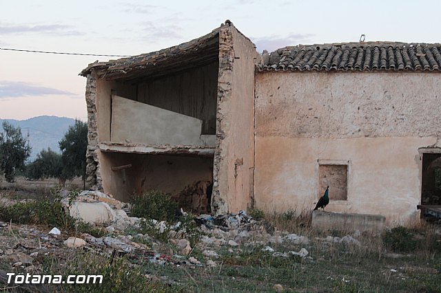 Romera de Lbor 2015 - 4