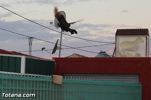 Romera de Lbor 2015 - 6