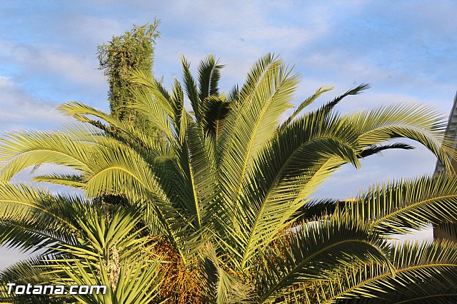 Romera de Lbor 2015 - 44