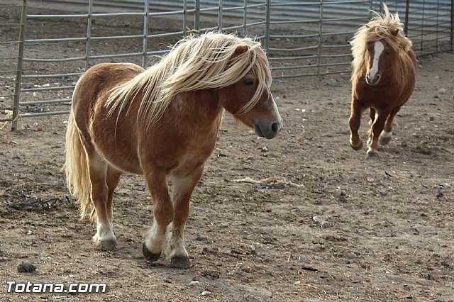 Romera de Lbor 2015 - 81