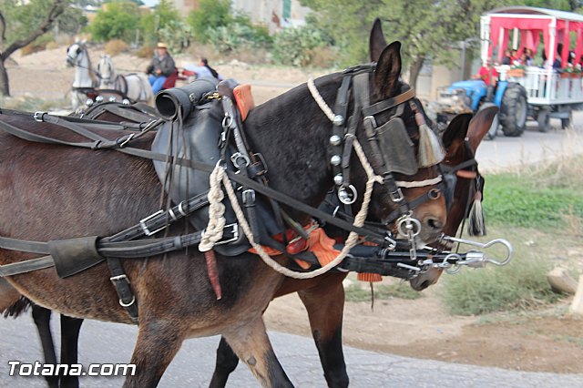 Romera de Lbor 2015 - 97
