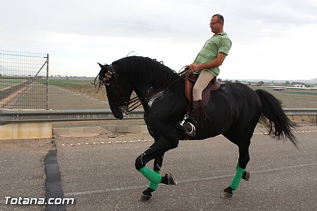 Romera de Lbor 2015 - 192