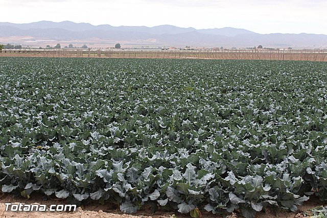 Romera de Lbor 2015 - 197