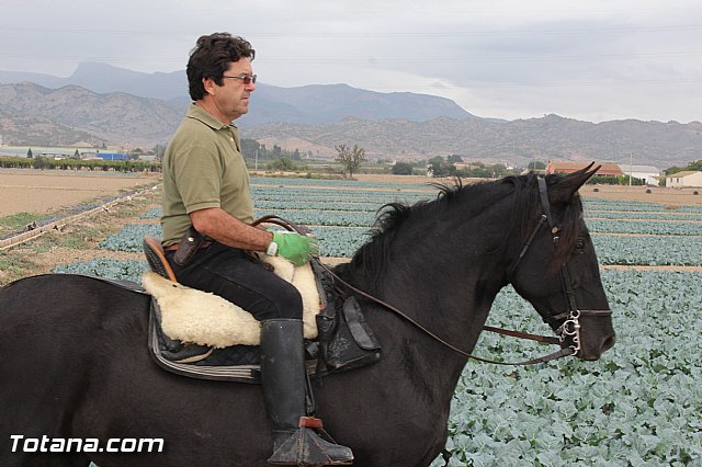 Romera de Lbor 2015 - 199