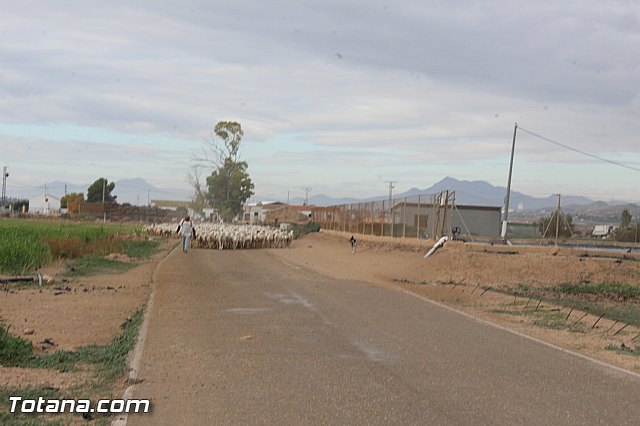 Romera de Lbor 2015 - 201