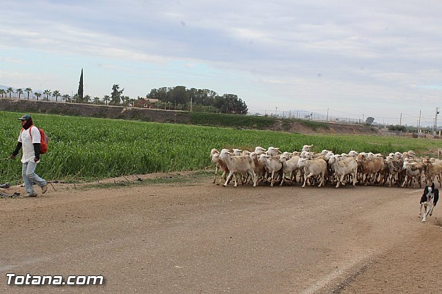Romera de Lbor 2015 - 202