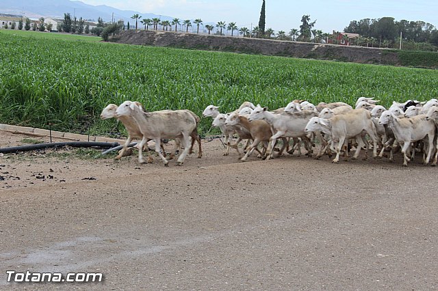 Romera de Lbor 2015 - 203