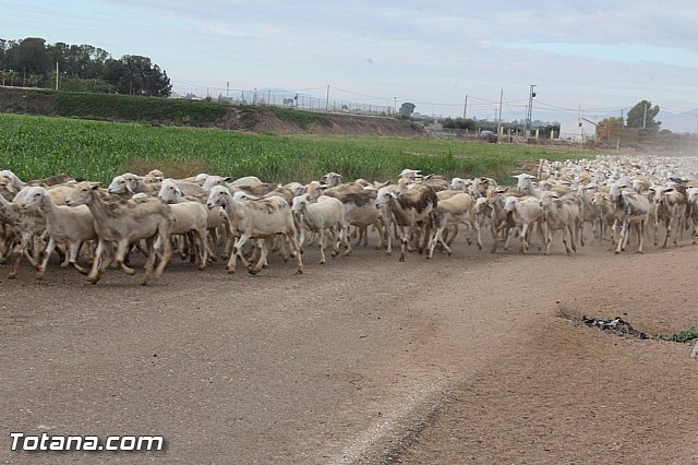 Romera de Lbor 2015 - 204