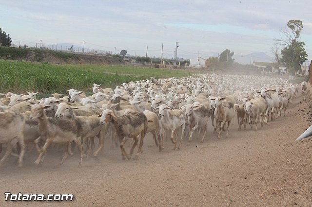 Romera de Lbor 2015 - 205