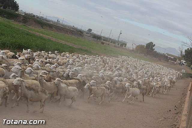 Romera de Lbor 2015 - 206