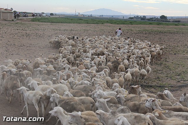 Romera de Lbor 2015 - 207