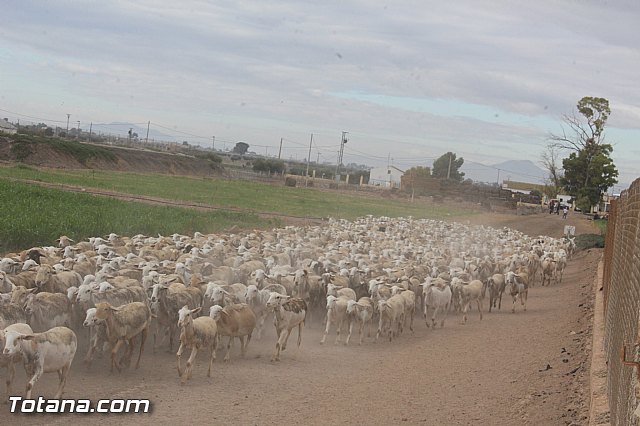 Romera de Lbor 2015 - 208