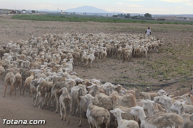 Romera de Lbor 2015 - 209