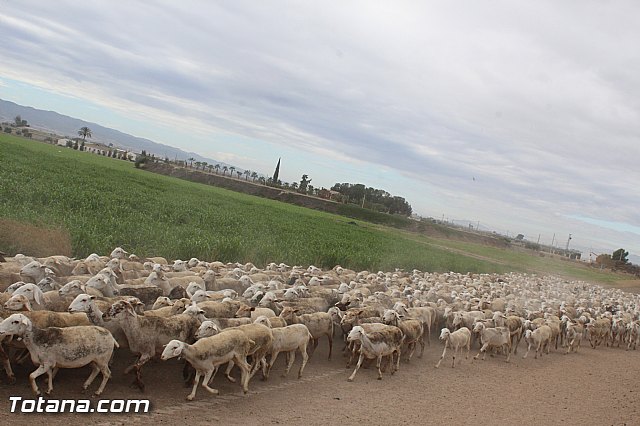 Romera de Lbor 2015 - 210