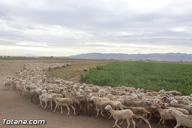 Romera de Lbor 2015 - 211