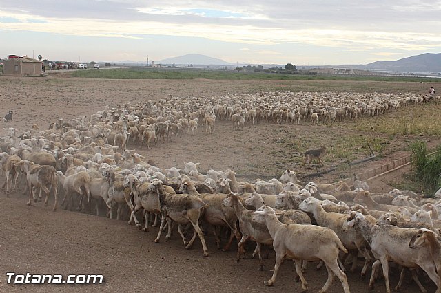 Romera de Lbor 2015 - 213