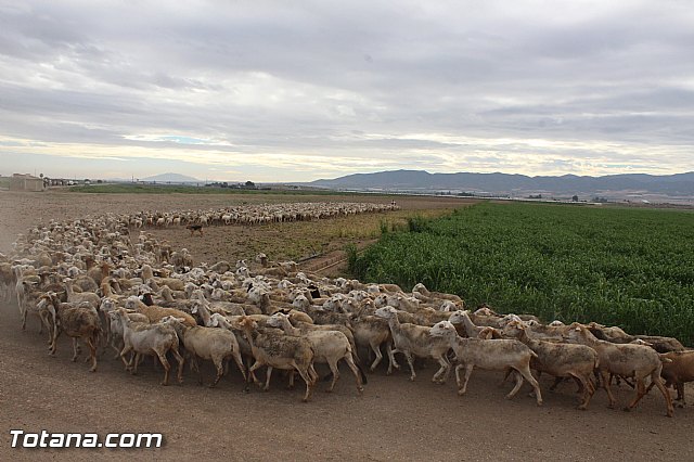 Romera de Lbor 2015 - 214