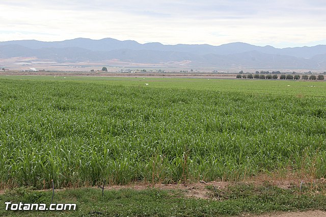 Romera de Lbor 2015 - 215