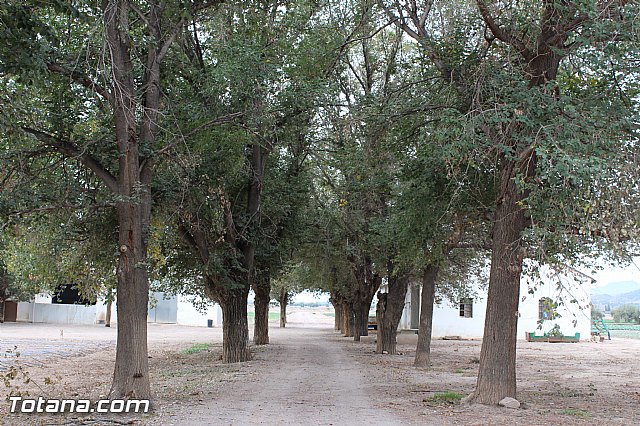 Romera de Lbor 2015 - 217