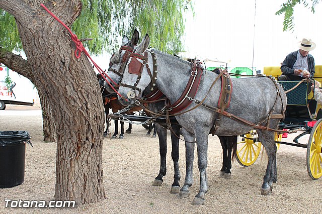 Romera de Lbor 2015 - 219