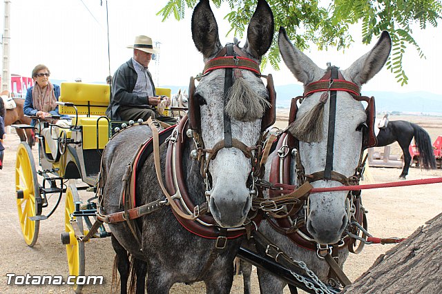 Romera de Lbor 2015 - 220