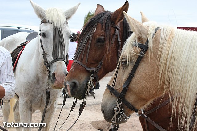 Romera de Lbor 2015 - 239
