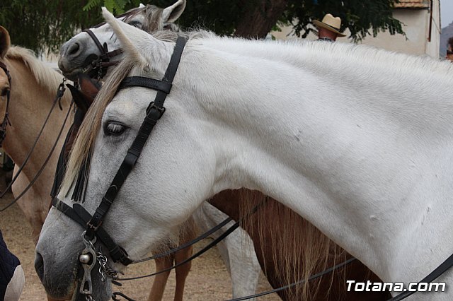 Romera de Lbor 2015 - 241