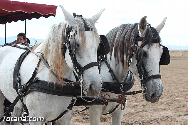 Romera de Lbor 2015 - 261