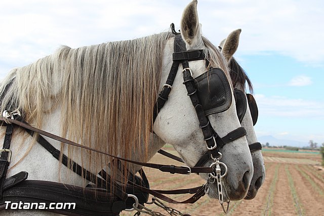 Romera de Lbor 2015 - 270