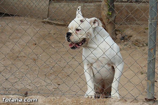 Romera de Lbor 2015 - 328