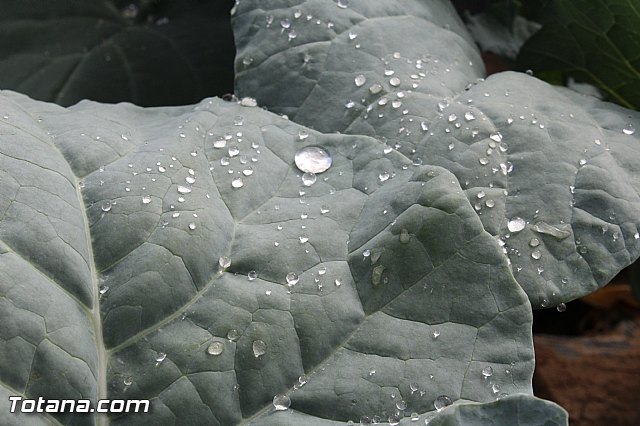 Romera de Lbor 2015 - 330