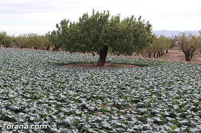 Romera de Lbor 2015 - 335