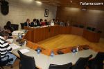 Pleno marzo 2012