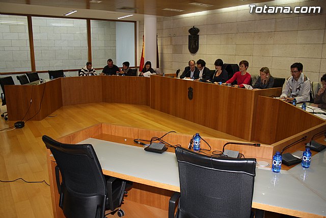 Pleno ordinario marzo 2012 - 3