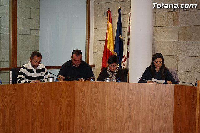 Pleno ordinario marzo 2012 - 6