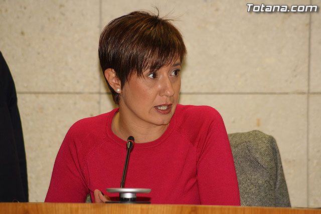 Pleno ordinario marzo 2012 - 17