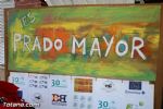 prado mayor