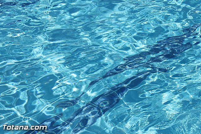 Se clausura la 1 quincena de la Escuela de Verano del 