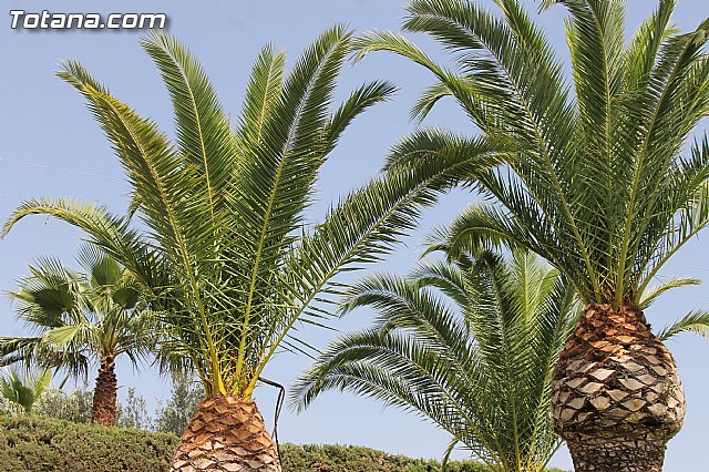 120 nios participan en la segunda quincena de julio de la Escuela de Verano 2014 - 72