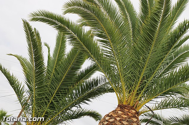 1 quincena del programa Verano polideportivo2016 - 10